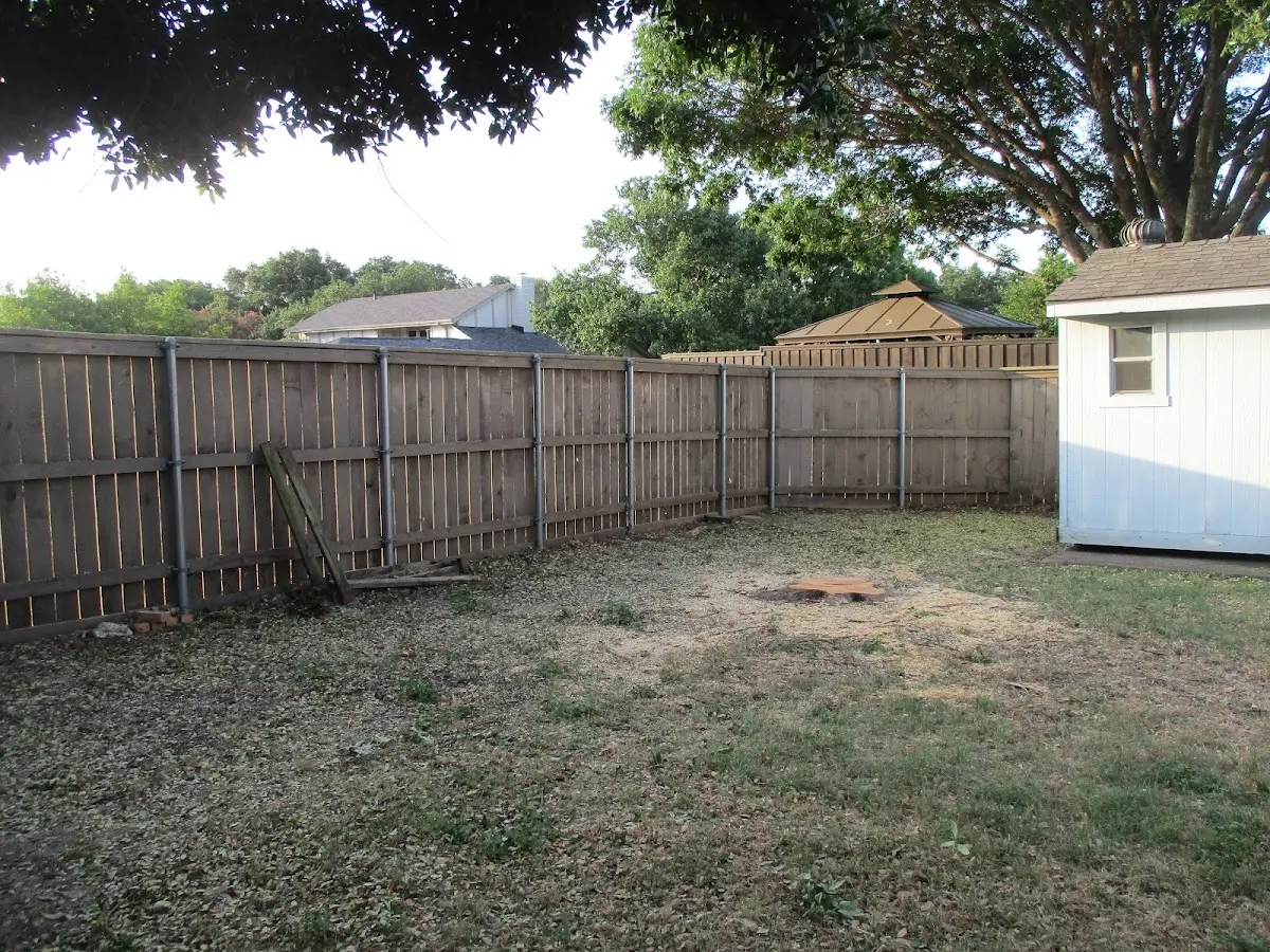 Cleared yard after professional tree removal in Eagle Springs
