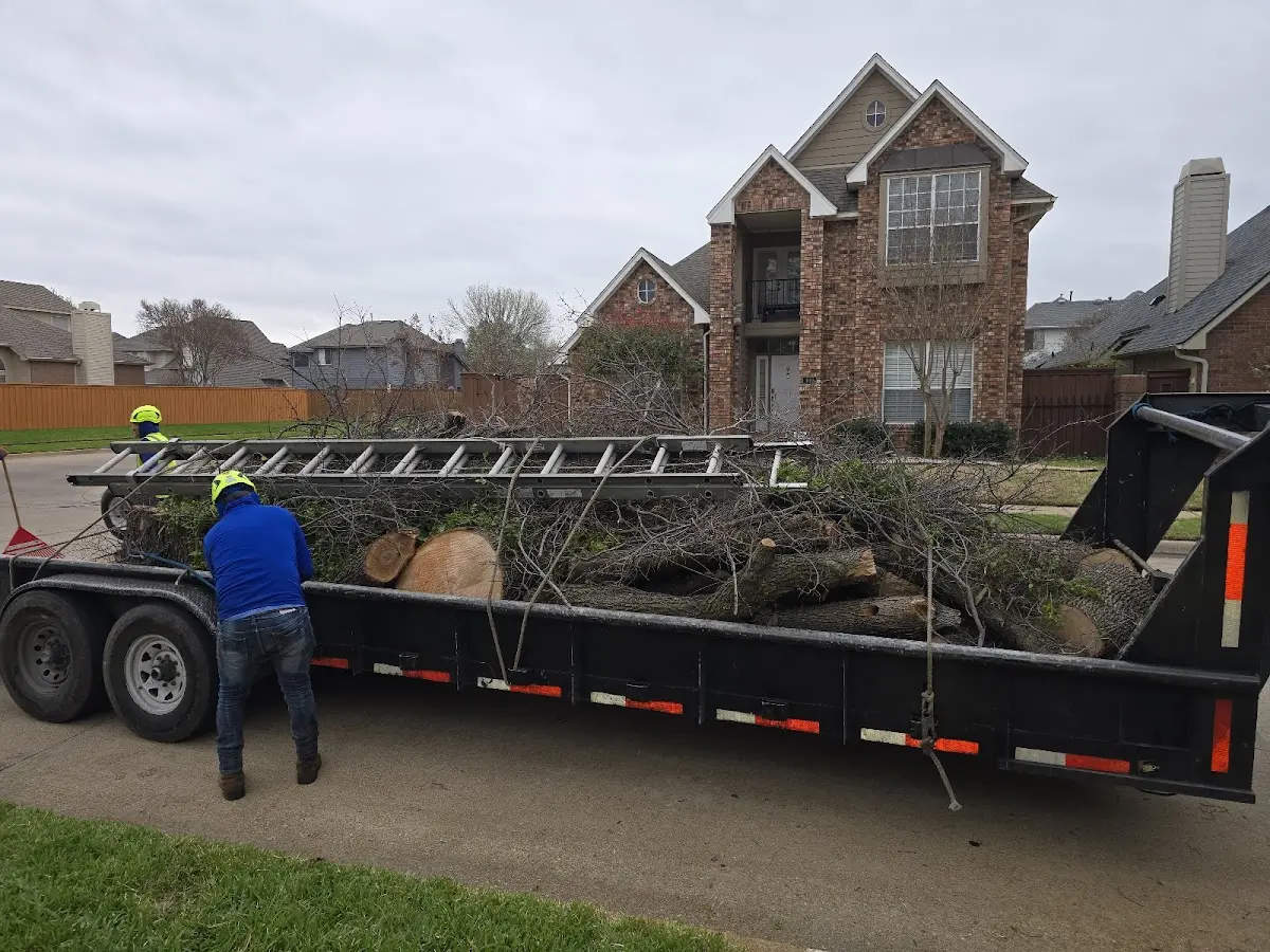 Expert Tree Fertilization with proper safety equipment in Eagle Springs